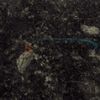 Granite-Ice Green (G1157)