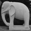 Animal Sculptures