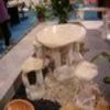 Table & Chair