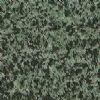 Granite - G022 Forest
