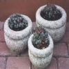 Granite Flower Pot