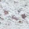 Galaxy White