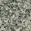 Granite Tile & Slab (G623)