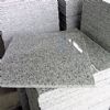 Granite Tile