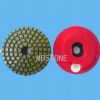 Snail Lock Polishing Pad (MS05-1)