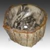 Fossil Wood Sinks