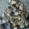 Pebble -2