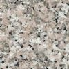 Granite Tiles And Slabs (G635)