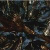 Granite-Night Rose
