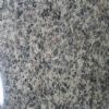 Granite -Leopard Skin