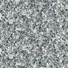 Tile(G658)