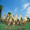 Sculpture About Animals