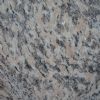 Tiger-Skin Rust