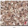 Granite Tiles and Slabs (G664)
