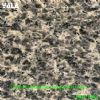 Granite & Marble Slate (Leopard Skin Flower)