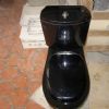 Stone Toilet