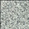 Granite Floor Tile (G603)