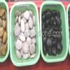 Pebble & Cobble --2