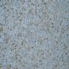Granite (G350)