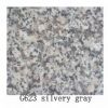 Granite (G623)
