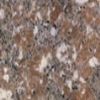 Granite G648