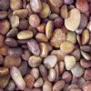 Pebble & Cobble -5