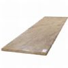 Desert Gold Countertop