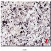 Granite Tiles And Slabs (G640 White of Dongshi)