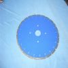 Diamond Circular Saw Segment