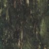 Granite(Butterfly-Green)