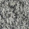 Granite-G365-Seasame White(G3765)