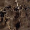Marble Tile/Slab -Coffee Web