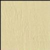 Polished Tile