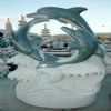 Three Dolphins