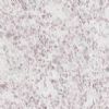 Granites Marbles Slabs Tiles