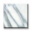 Polished Tile -Arabescato