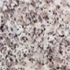 Granite Tiles & Slabs -G640