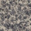 Granite Slabs And Tiles