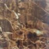 Water Transfer Printing Film (GW018)