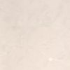 Marble Mosaic Tiles (C-F-04)