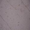 New Century Beige Marble (NC04)