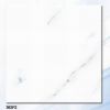 Marble Tile (363F2)