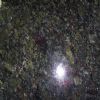 New Stone--Coral Green Granite